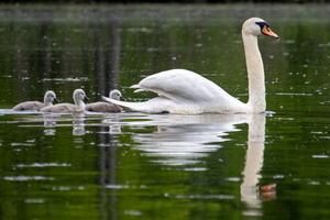 5-18-24 Wappingers Lake