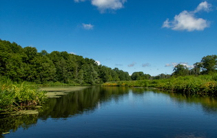7-11-24 Otter Creek