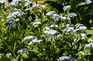 5-21-24 Wallkill Oil City Road