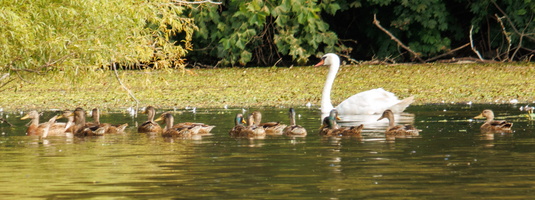 12 IMG 4501