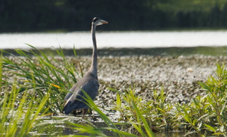 13 IMG 4515
