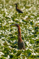 19 IMG 4544