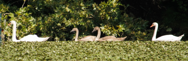 22 IMG 4560