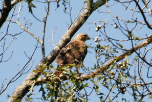 24 IMG 4564