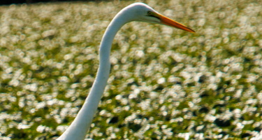 26 IMG 4580