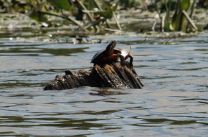 27 IMG 4583