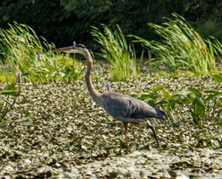 28 IMG 4584