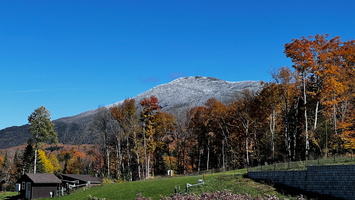 31 IMG 5784