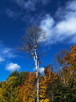 43 IMG 5797