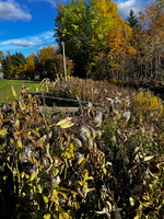 69 IMG 5823