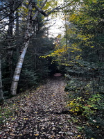72 IMG 5830