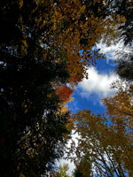 74 IMG 5833