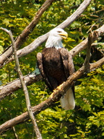8-27-24 Norrie Point