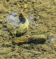 IMG 3864