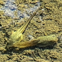 IMG 3865