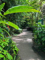 IMG 3943