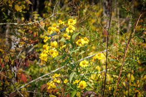 10 IMG 4741