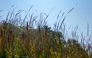 16 P9142635