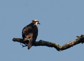23 IMG 4744