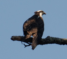 24 IMG 4745