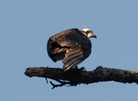 25 IMG 4746