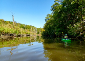 33 P9142645