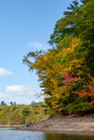 12 P9212687