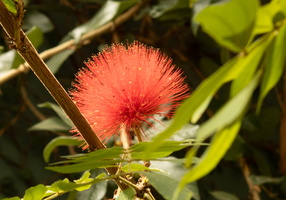 1 IMG 4948