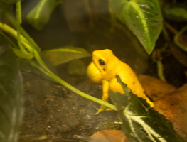 3 IMG 4950