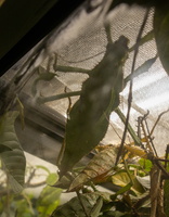 8 IMG 4959
