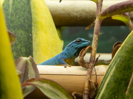 10 IMG 4970