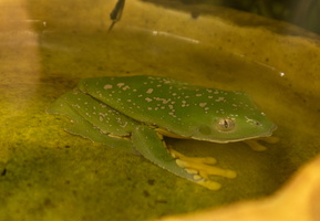 11 IMG 4971