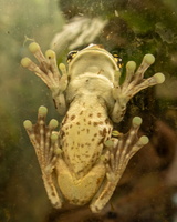 12 IMG 4972