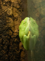 13 IMG 4973