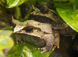 14 IMG 4978