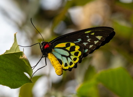 16 IMG 4984