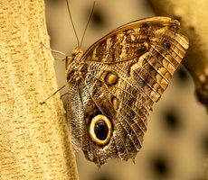19 IMG 4989