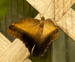 23 IMG 4998