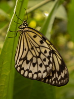 24 IMG 4999