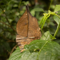 34 IMG 5015