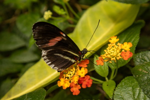 35 IMG 5017