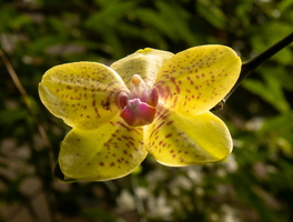 36 IMG 5018