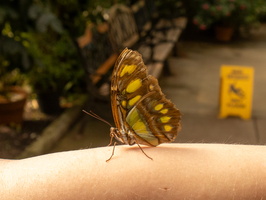 39 IMG 5023