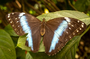 41 IMG 5026