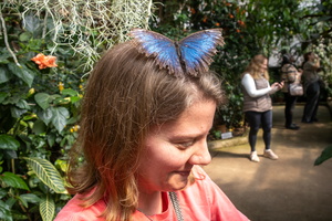 43 IMG 5030