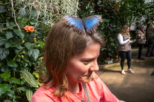 44 IMG 5031