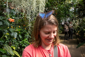 45 IMG 5032