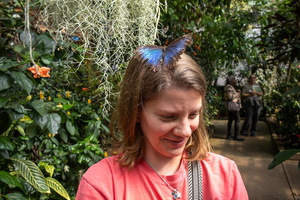 46 IMG 5033