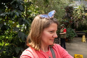 47 IMG 5034