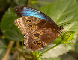 48 IMG 5035